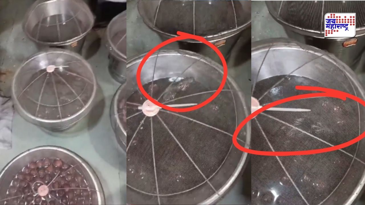 सणासुदीला मिठाई खरेदी करताय? आधी हे पाहा...; गुलाबजामच्या पाकात पोहोतोय चक्क उंदीर