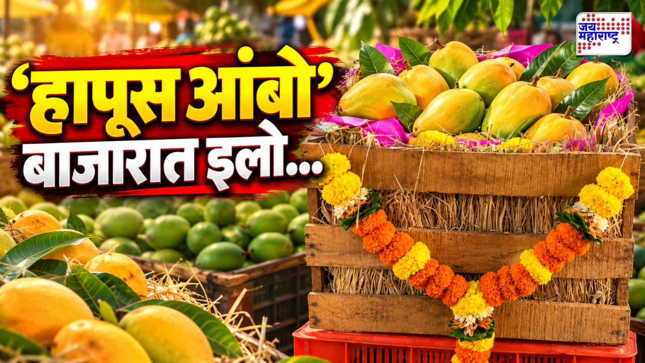 खूशखबर! चार महिने आधीच रत्नागिरी हापूसचे बाजारात आगमन; पेटीचा दर 21 हजारांच्या घरात!