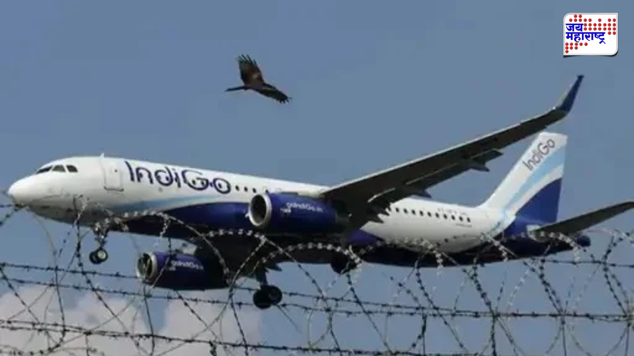 interglobe aviation