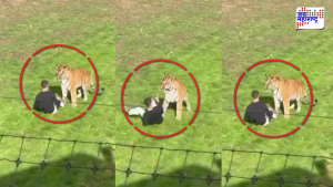 wildlife park video viral