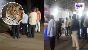 अंधाराचा फायदा घेत चिमुकल्यावर जीवघेणा हल्ला