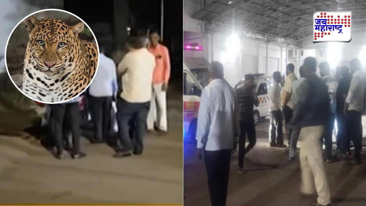 लाईट जाताच घात झाला! 500 मीटरपर्यंत ओढत नेलं; बिबट्याच्या हल्ल्यात चिमुकल्याचा बळी