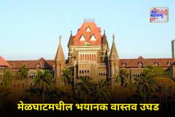 HC Slams State Govt : धक्कादायक! मेळघाटात कुपोषणामुळे 65 बालकांचा मृत्यू; मुंबई उच्च न्यायालयानं काढली राज्य सरकारची खरडपट्टी
